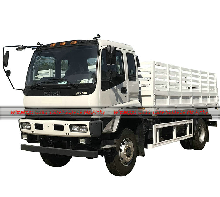 ISUZU Cargo Truck